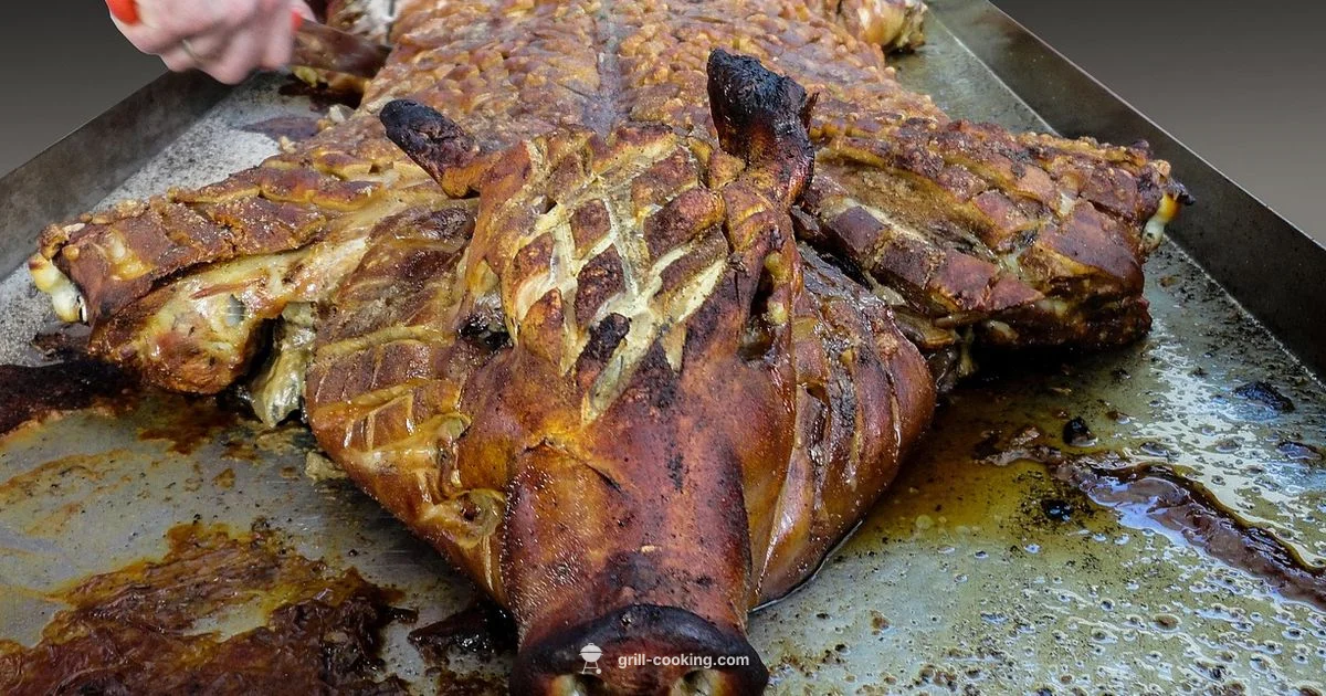 Z Grills Reddit Review - Grill Cooking