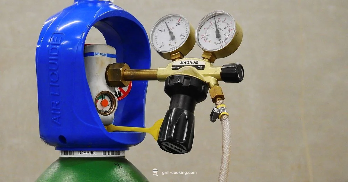 Gas Regulator Basics - Grill Cooking