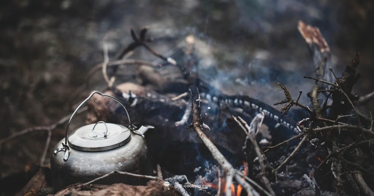 Weber Portable Grill - Grill Cooking