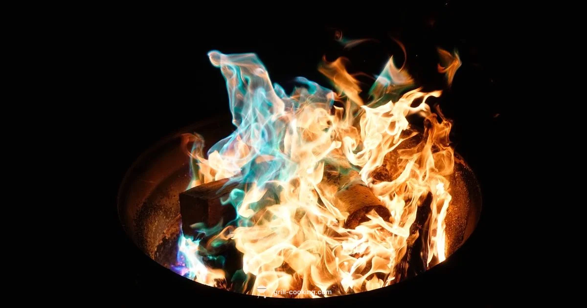 NZ Grilling Guide - Grill Cooking