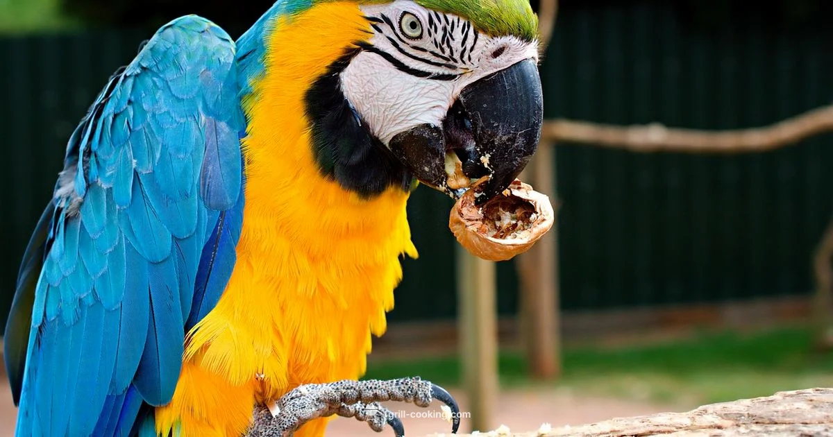 Do You Need a BBQ Do You Need a BBQ - Grill Cooking