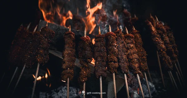 Grill Bot Guide - Grill Cooking