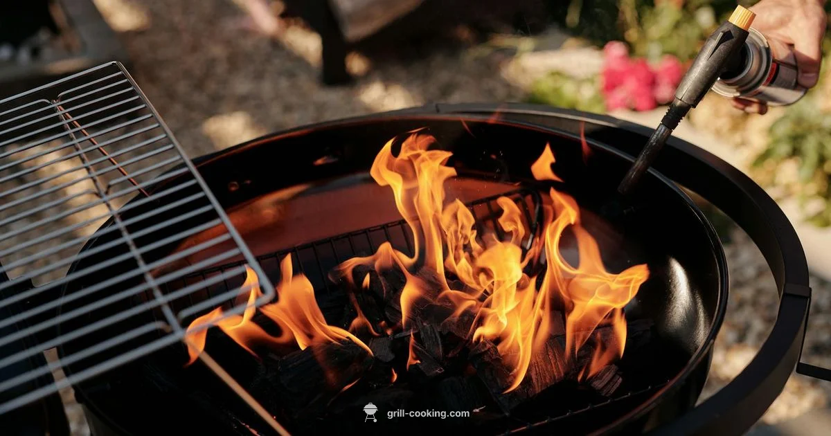 Gas Grill Price Guide - Grill Cooking