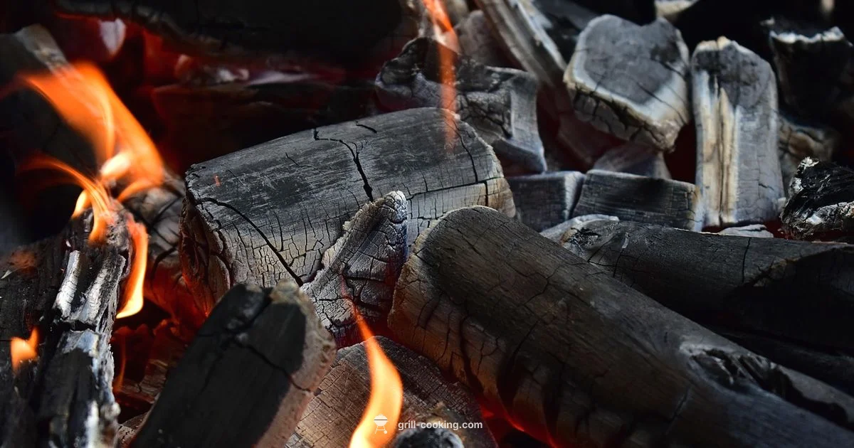 Budget Pellet Grill Review Budget Pellet Grill Review - Grill Cooking