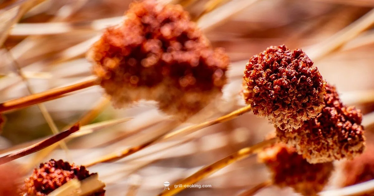 Gluten-Free BBQ Sauce - Grill Cooking