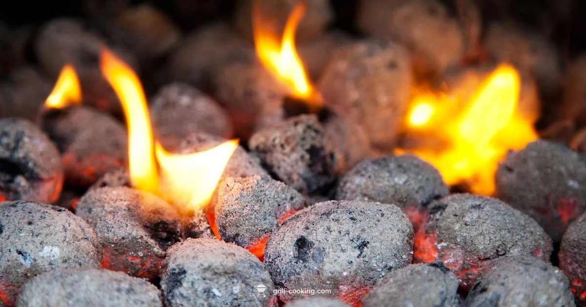 Getting Your Grill Started - Grill Cooking