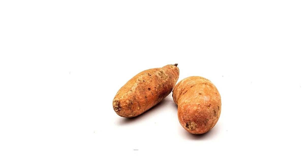 Grilled Sweet Potatoes - Grill Cooking