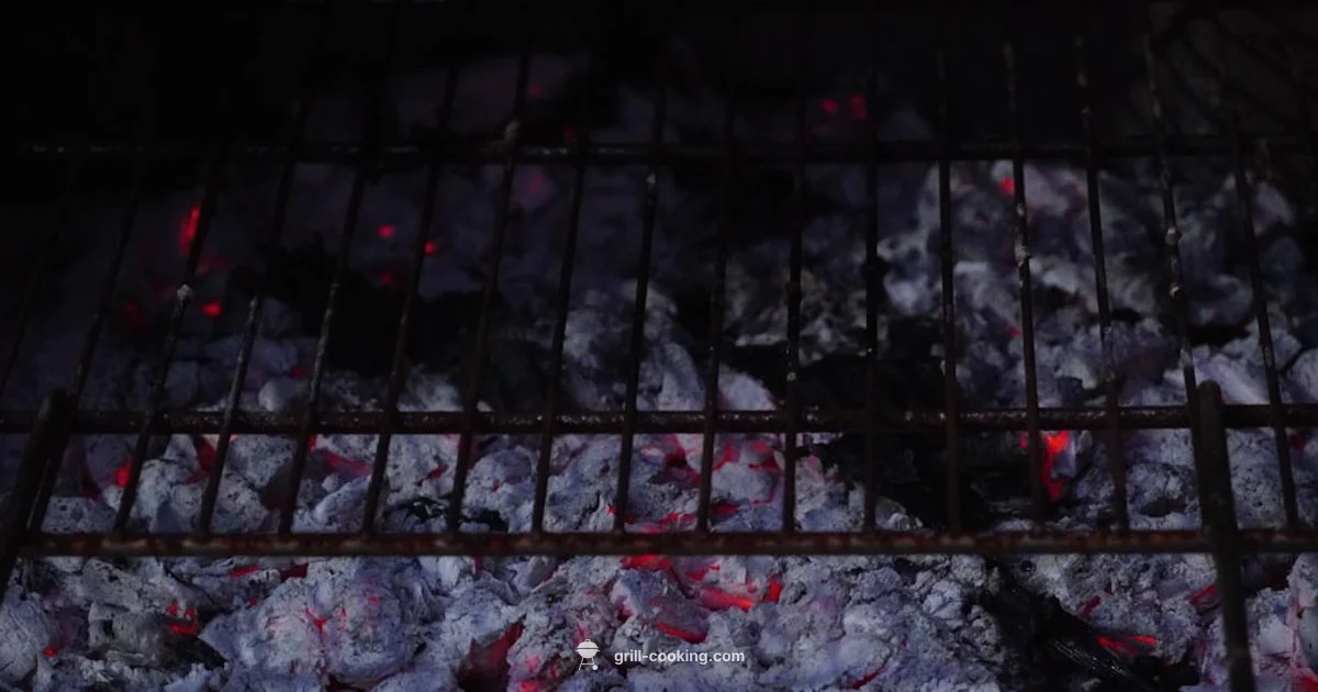 Drizzle Grilling Guide - Grill Cooking