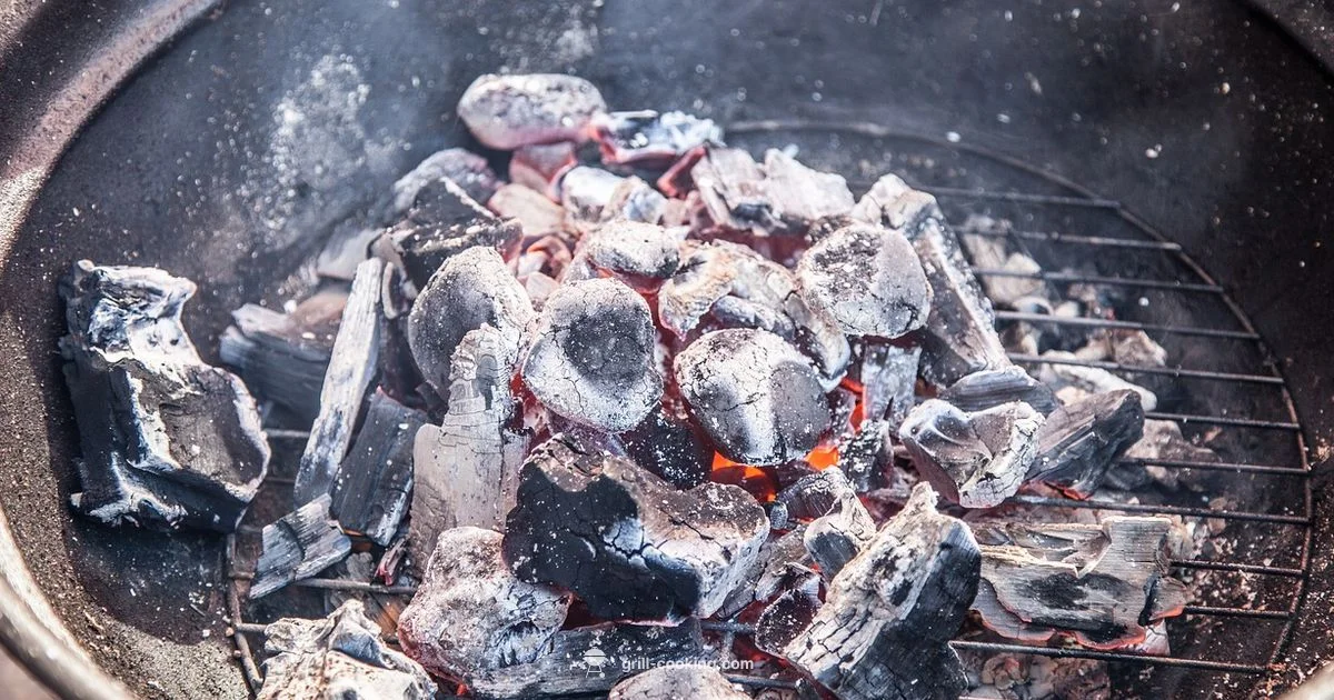 Grill Mats Guide - Grill Cooking