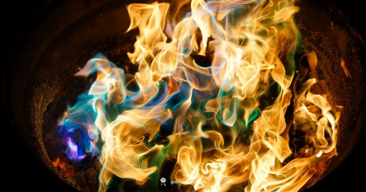 Stanford Grill Review - Grill Cooking