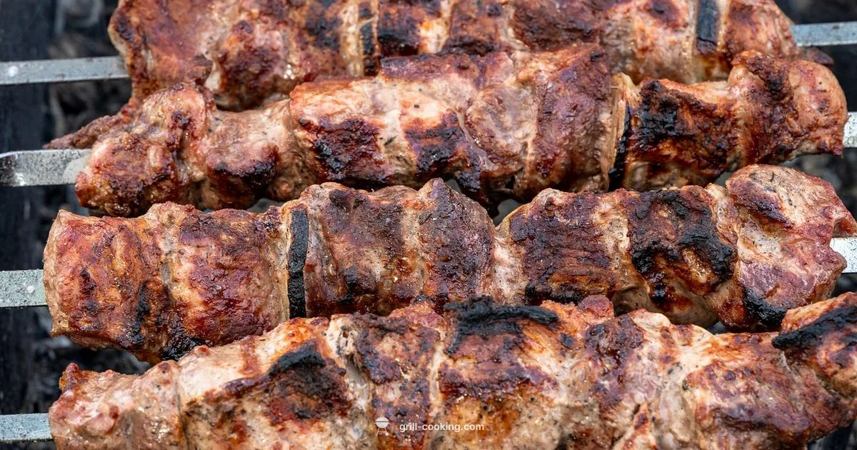 Grill Kebabs Mastery - Grill Cooking