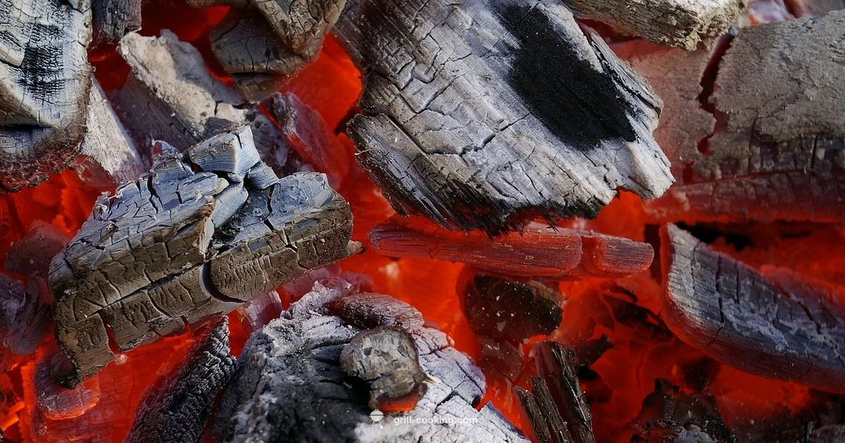 Grill vs Blackstone - Grill Cooking