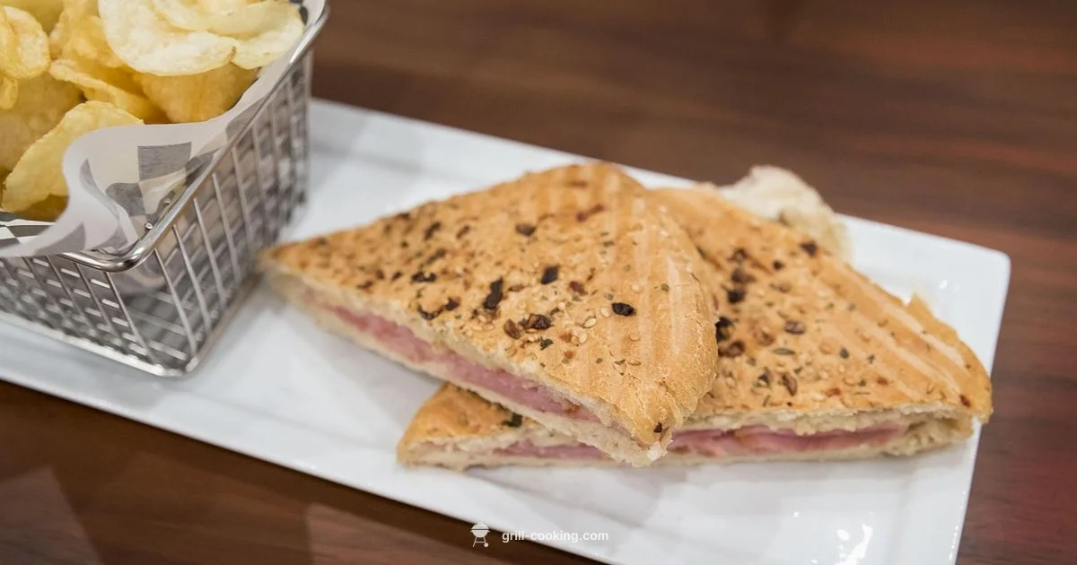 Panini Grill Guide - Grill Cooking