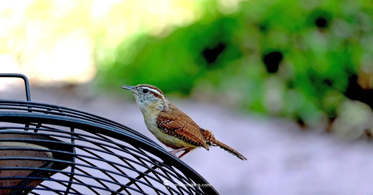 Carolina Grill Guide - Grill Cooking