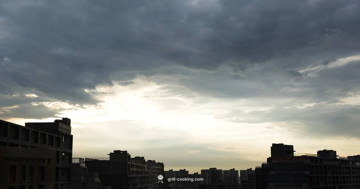 Kings Grill Guide - Grill Cooking