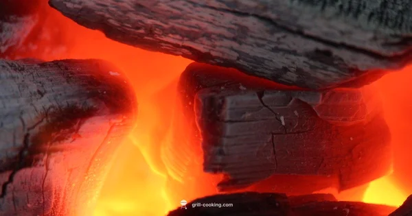 Oyster Grilling Safety - Grill Cooking