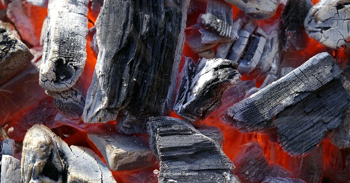 4-Burner Grill Cover Guide - Grill Cooking