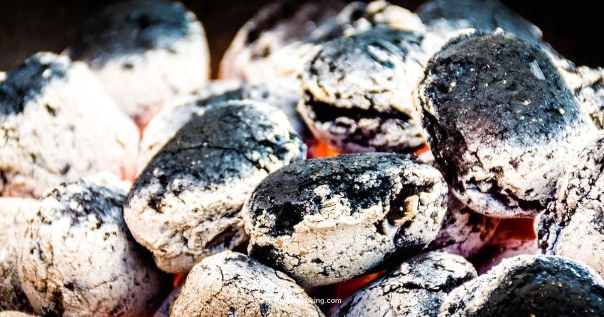 Alley Grill Basics Alley Grill Basics - Grill Cooking